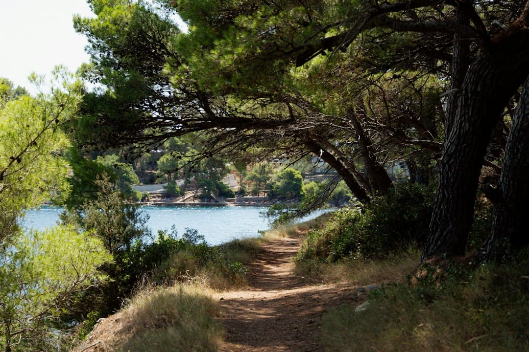 Old Spanish Trail Üzerindeki Isle of Pines Kavşağında Altyapı Nedeniyle Yol Kapatılıyor